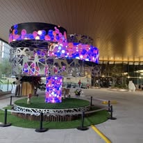 祈願樹圖片