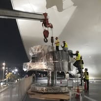 祈願樹圖片