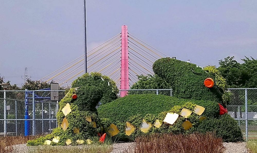 台中霧峰(明正公園)綠雕圖片