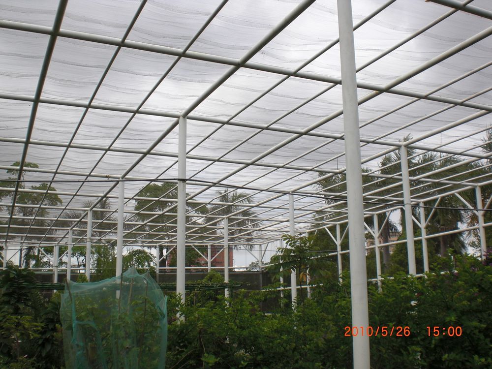 2011高雄金獅湖蝴蝶園圖片