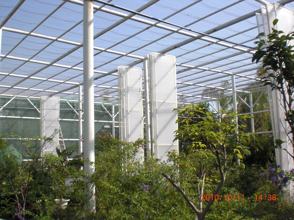 2011高雄金獅湖蝴蝶園圖片