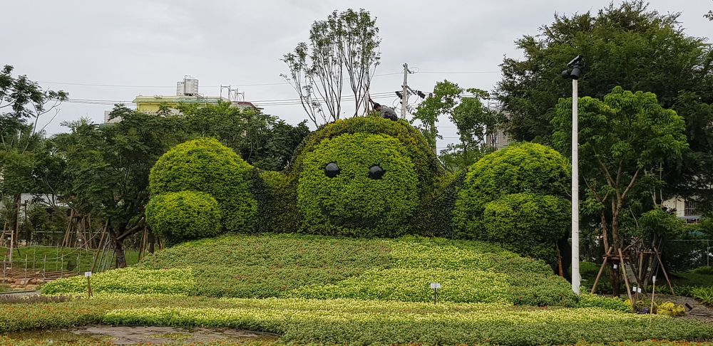 台中花博圖片