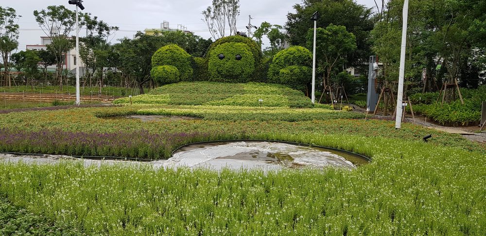 台中花博圖片