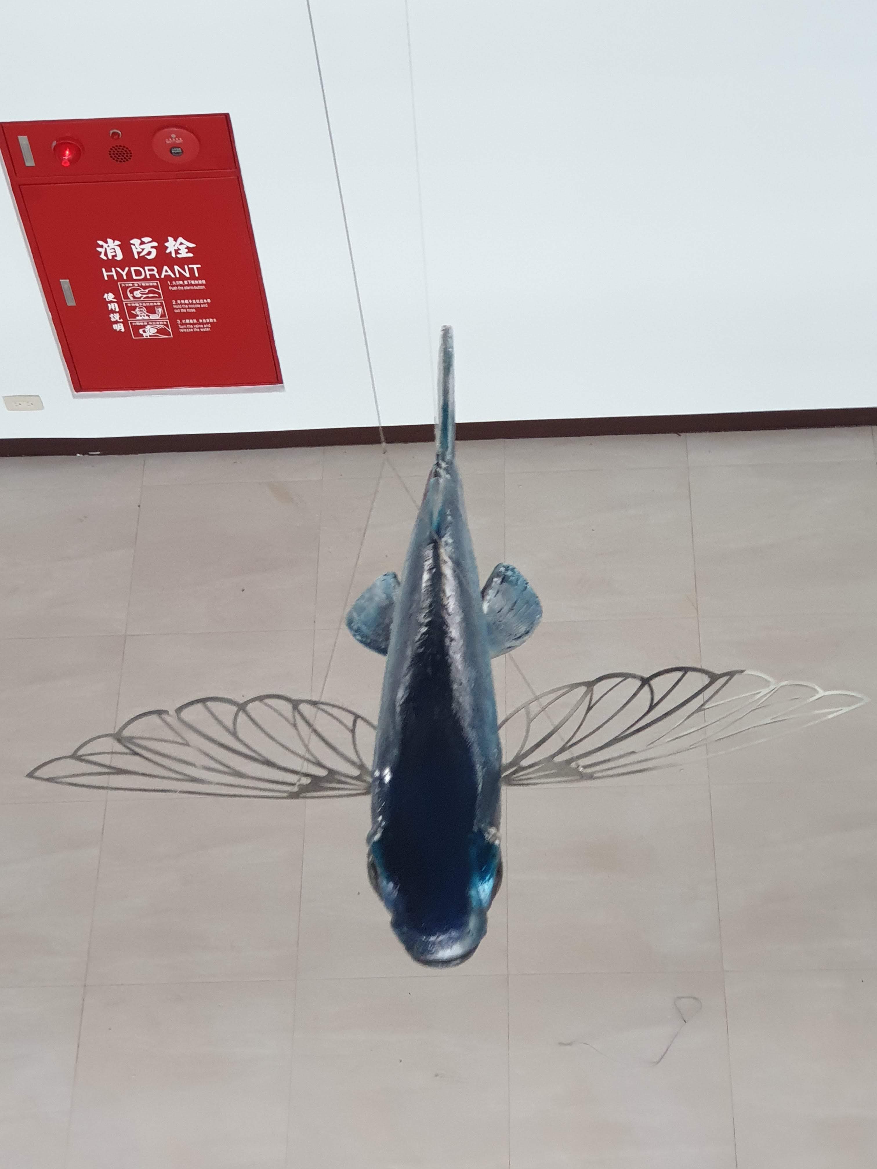 澎湖空軍基地圖片