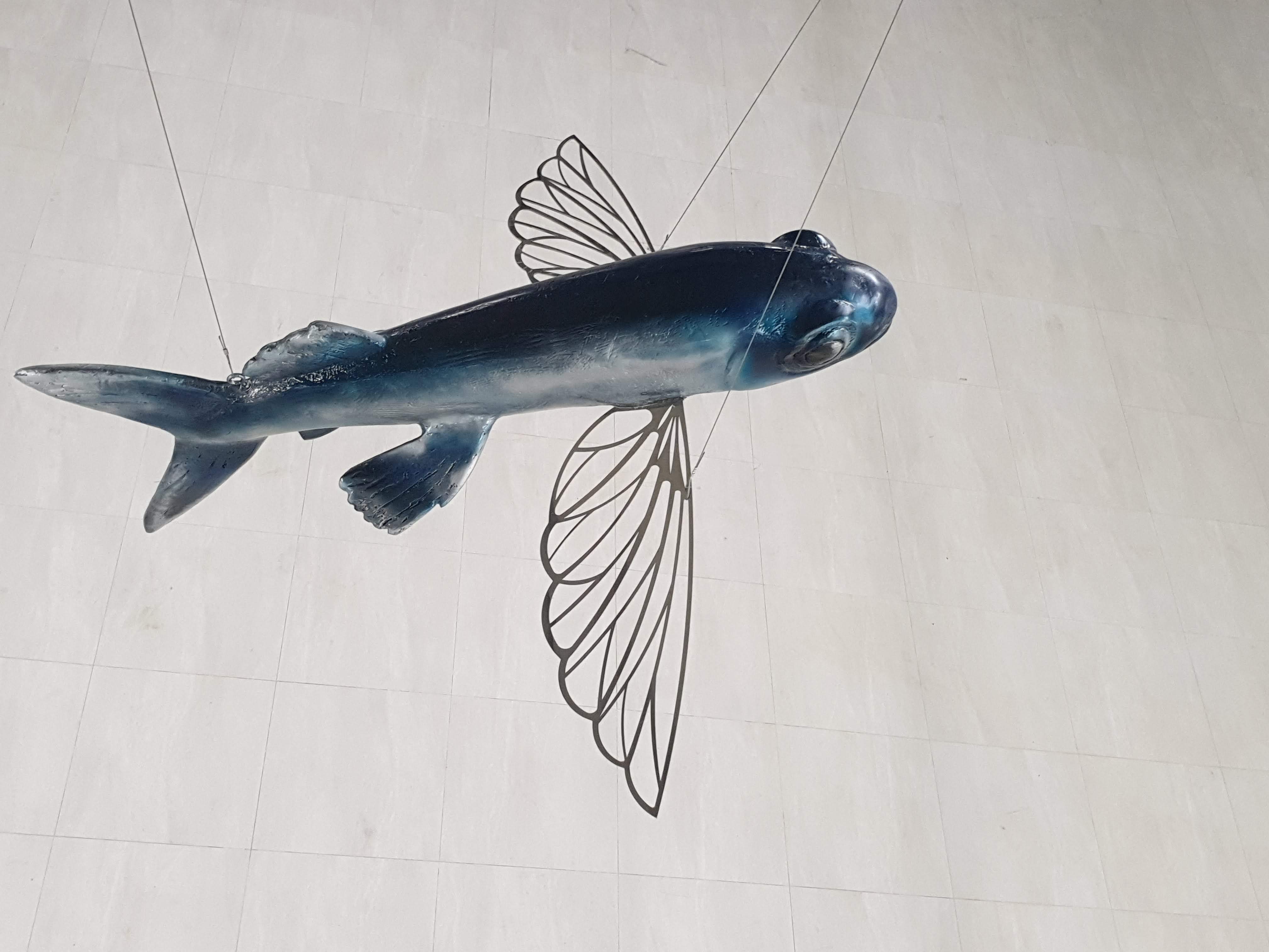 澎湖空軍基地圖片