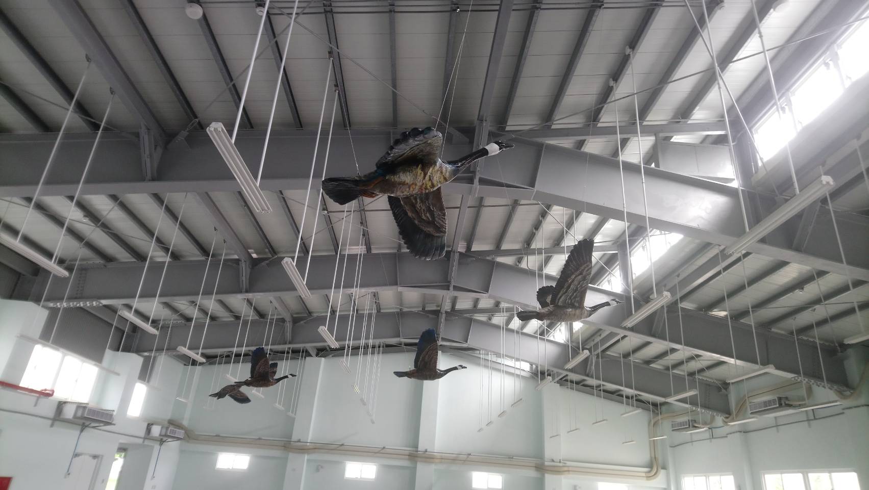 澎湖空軍基地圖片