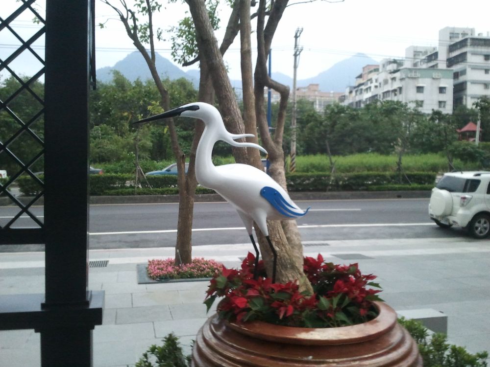 2012淡水白鷺絲圖片