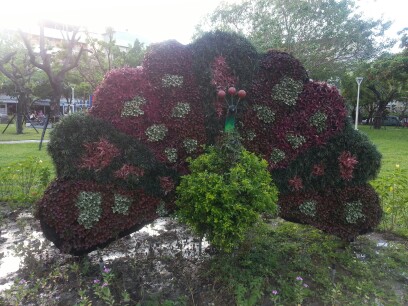 2013精華公園(綠雕)孔雀圖片