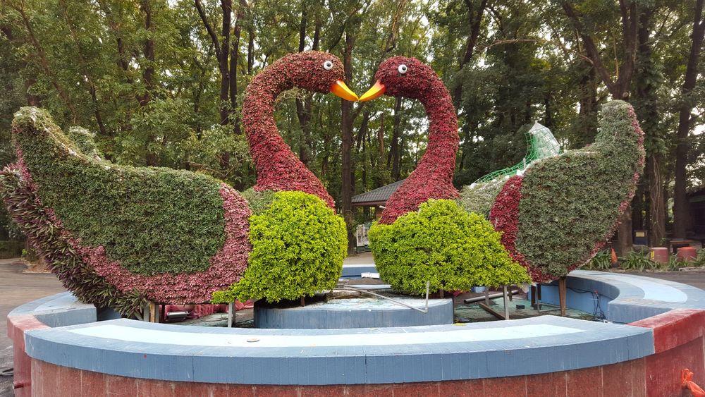 8大魔法森林樂園圖片