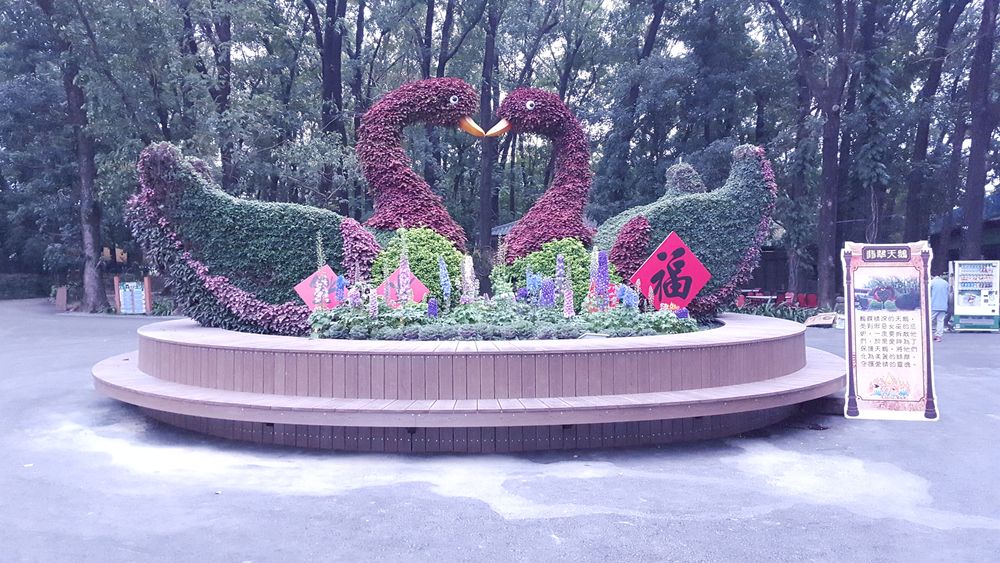 8大魔法森林樂園圖片