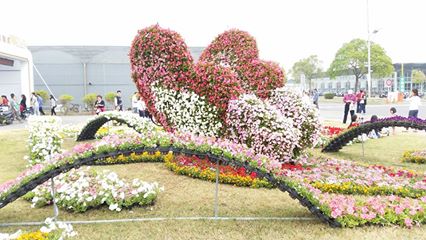 白河蘭花展(綠雕)圖片