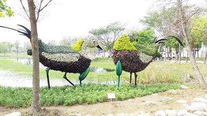 白河蘭花展(綠雕)圖片