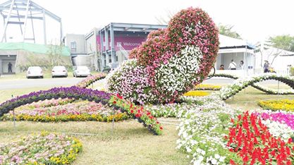 白河蘭花展(綠雕)圖片