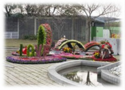 白河蘭花展(綠雕)圖片