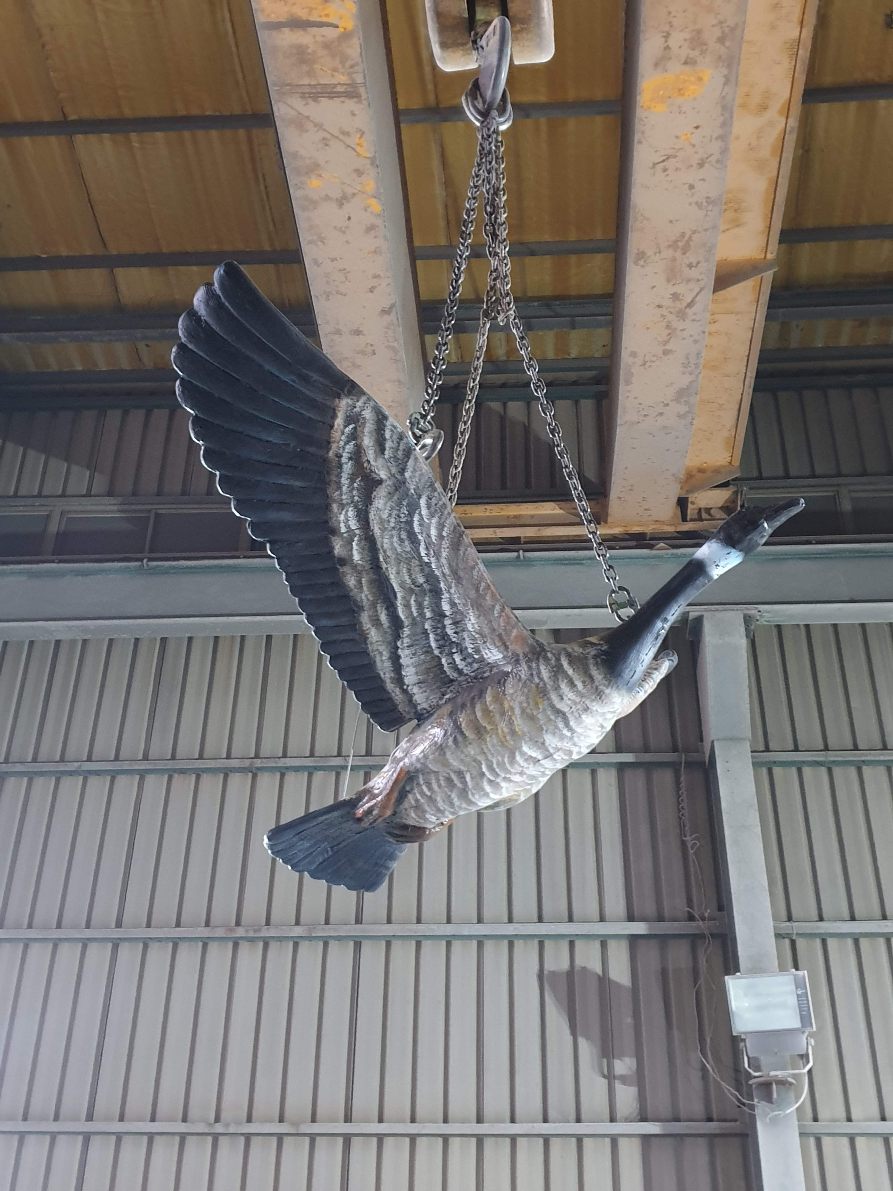 澎湖空軍基地圖片